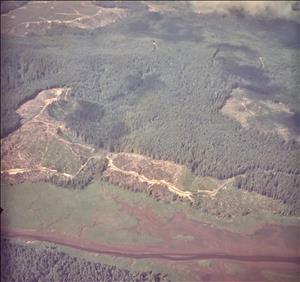 Barren patches between a thick blanket of forested hillsides. A muddy brown river runs through a valley. 